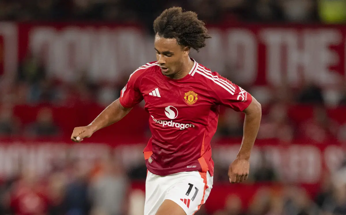 Manchester United analizował 2 opcje za Joshuę Zirkzee